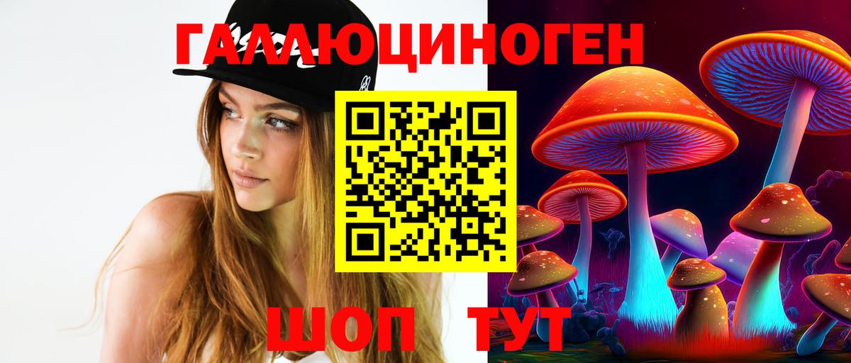 Псилоцибиновые грибы прущие грибы  Вход с VPN  наркошоп  Владимир 