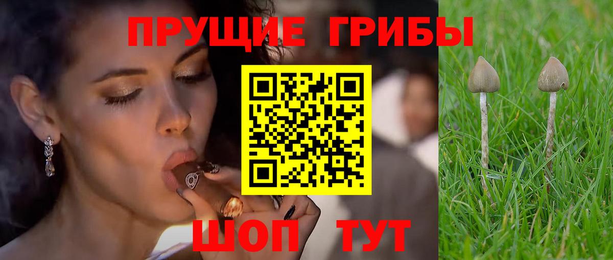 Псилоцибиновые грибы мухоморы Владимир