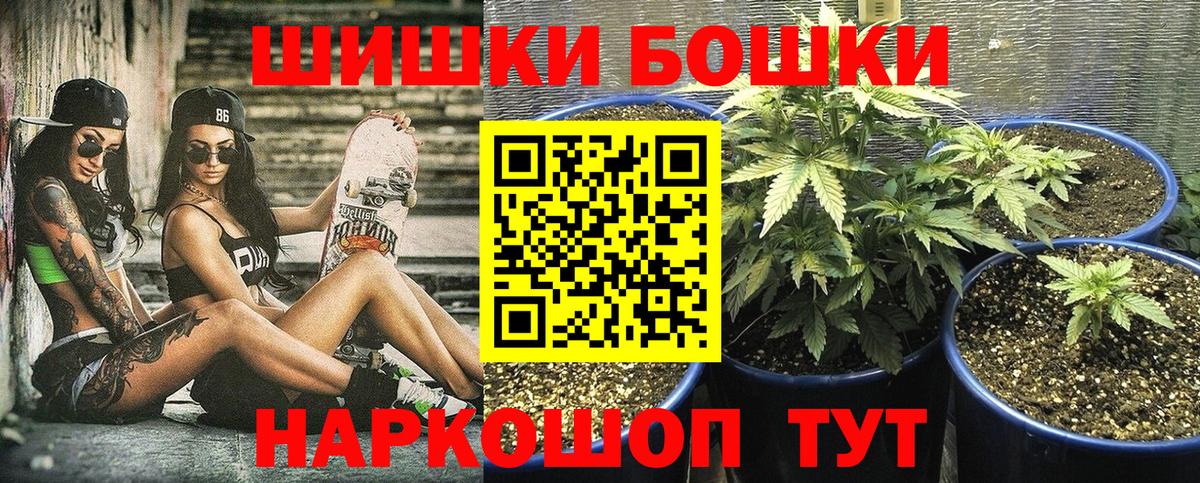 Владимир  Марихуана ГИДРОПОН  Вход с VPN  Конопля план 